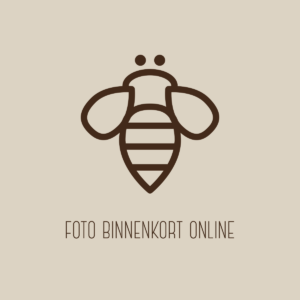 Koninginnegelei royal jelly capsules 200mg 60 stuks